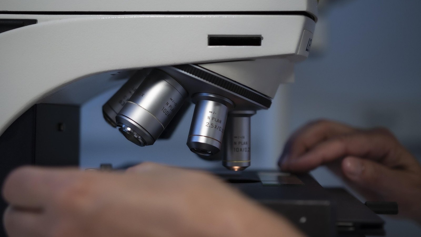 Servicio de Microbiología directa en CEIBIO S.A.C.